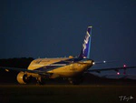 [機材レビュー]LUMIX DC-GH6 その2