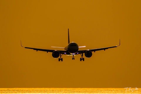 1746095245-0.jpg