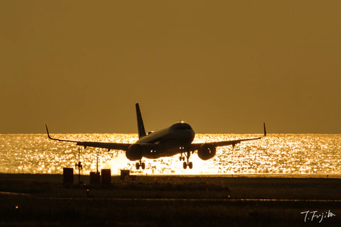 1747133006-0.jpg