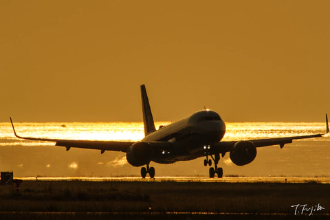 1747221994-0.jpg