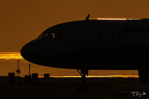 1747229714-0.jpg