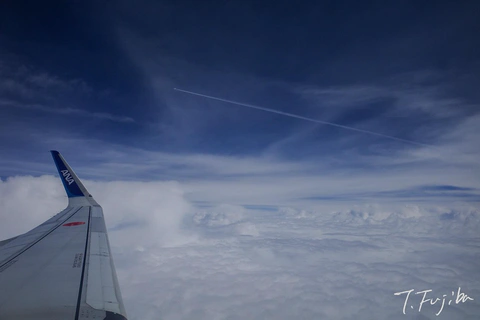 1747450286-0.jpg