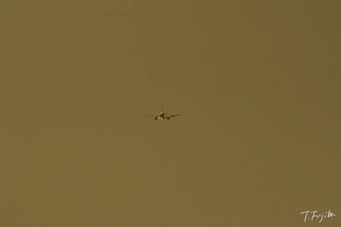 1748761620-0.jpg