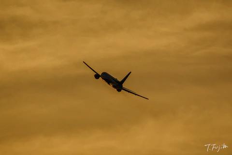 1749121072-0.jpg