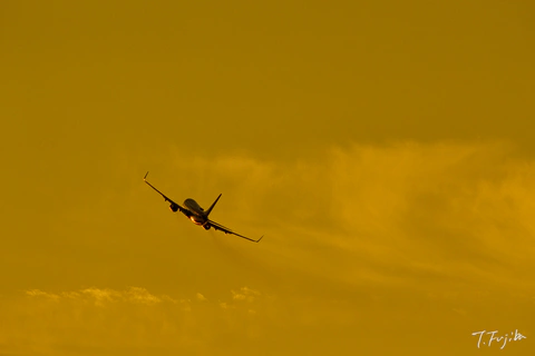 1753094975-0.jpg