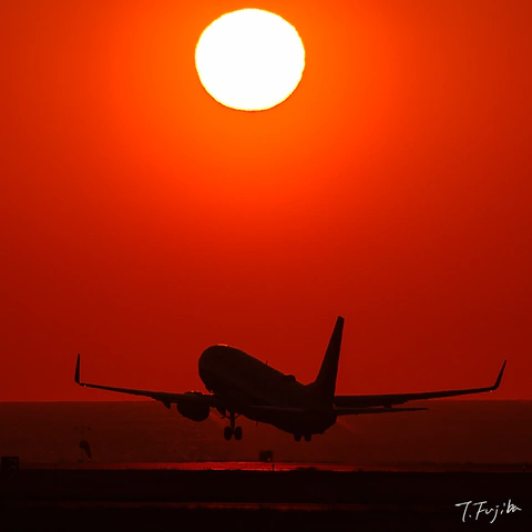 1778066161-0.jpg