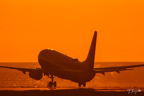 1778322977-0.jpg