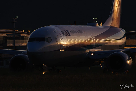 1779013904-0.jpg