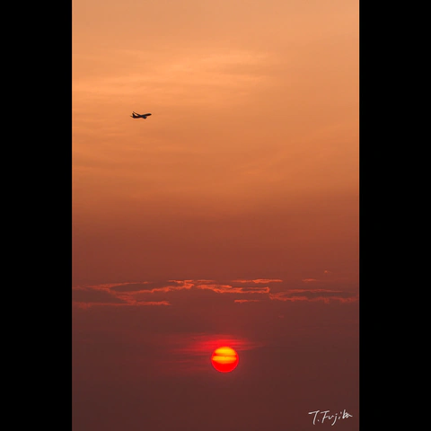 1785667918-0.jpg
