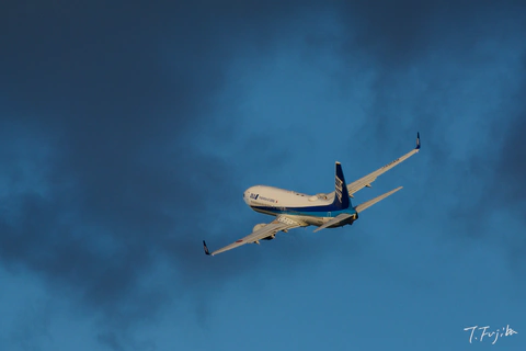 1786013127-0.jpg