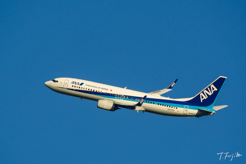 1786098792-0.jpg