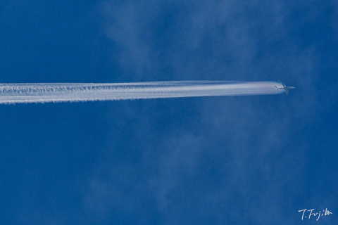 1787307476-0.jpg