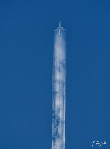 1787309836-0.jpg
