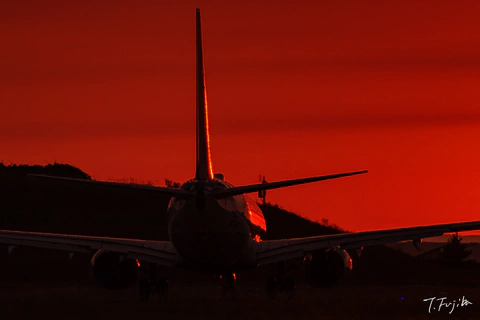 1787654782-0.jpg