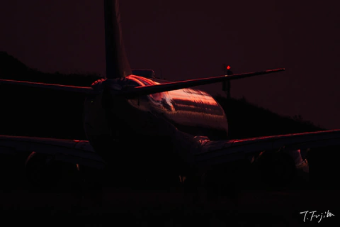 1788786916-0.jpg