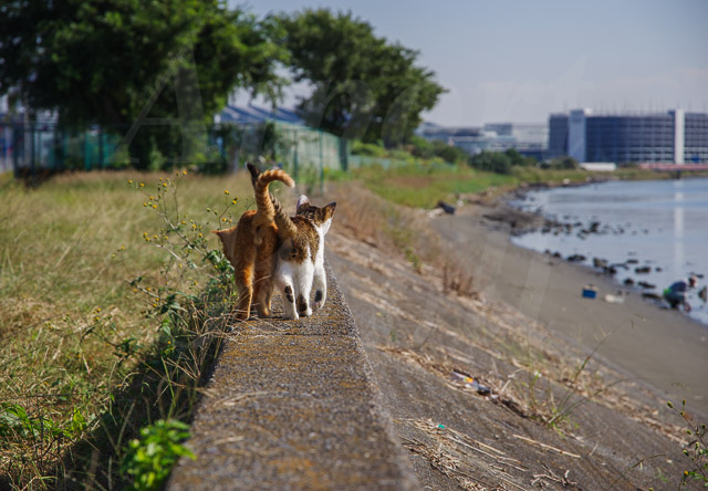 ふたりは仲良し