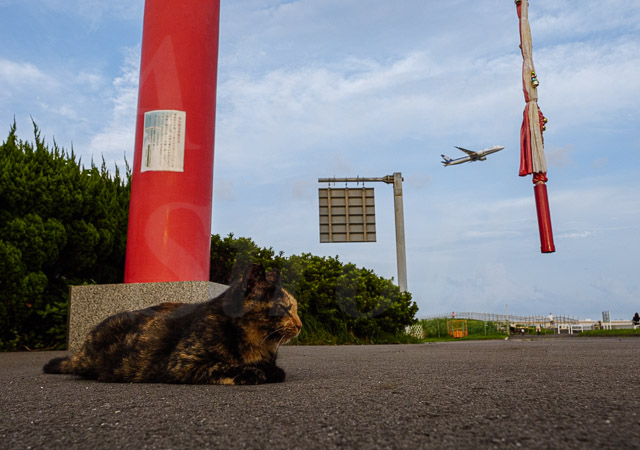 サビとヒコーキ 2022